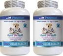 PET SUMPLEMENTS & NUTRITION LLC Dog Dental Hygiene - Psi Celková kontrola zdraví - Imunitní podpora - Vlasové kožní nehty Oral Oko Zdraví Formule - Orální vápník pro psy - 2 láhve (120 procedur)
