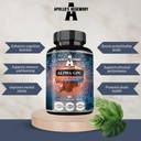APOLLO 'S HEGEMONY Alpha- GPC 600mg na denní dávku - 90 Vegan Cholin Kapsle - 99% Cholin Alfoscerát Dietní dodatek - Lipid Choline - Paměťové a koncentrační kapsle