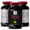 Stamina Power - TRIBULUS TERISTIS EXTRACTS - Energy for Activity, Energy Support Formule, Active Energy Support, Plant- Based Energy Boost, Activity Power, Activity Workout Boost 1 Lahvička 60 Tablety