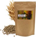 Natural Organic Brewer 's Yeast Pill' s Yeast Pill 3.52 (100g) / doplňky pro imunitní podporu a nervový systém pro ženu a muže
