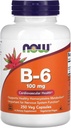 Nyní Potraviny B- 6, 100 mg, 250 Veg Kapsle