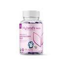 Hyland 's Kids Organic Elderberry Plus Gummies, Organic Black Elderberry se ZINC a vitamínem C, Imunitní podpora pro děti, 48 Veganských Gummies