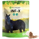Silver Lining Herbs Equine INF-X - Podporuje pomoc při stresu koní a zdravé úrovně dobrých bakterií - Přírodní podpora imunitního systému koní - Bylinný dodatek pro detoxikaci koní - 1 LB