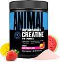 Zvířecí supernabitý Creatin Powder - Ochucené stvoření Monohydrát Vylepšený Betaine Bezvodý, PurpleForce & Senactiv, Síla, Vytrvalost, Muscle Recovery pro muže a ženy - Ovocný punč, 300g