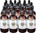 HawaiiPharm Olive (Olea ņea) Organic Sured Leaf Veterinary Natural Alcohol- Free Liquid Extract, Pet Bylinný dodatek 15x4 oz