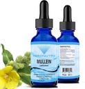 Absonutrix Mullein 300 mg, 4 Oz Liquid, 300 Servings, Made in USA, Quick Absorpce, Kvalitní potentní složky, Non- GMO, GMP Certified Facility, Cruelty- zdarma produkty