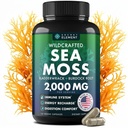 Mořské kapsle - Irský Moss Moss Pokročilý s Burdock Root, Bladderwrack & Muira Puama pro imunitu, Gut, & Energy - Superfood Moss Moss doplňky w / Syrový Moss Moss Powder - 120 Irish Seamoss pilulky