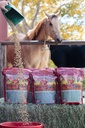 Mega Dávka 40 liber, Koňský vitamin Mineral s plnou obsluhou Doplněk Horse Guard & Hoof Guard
