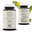 HerbEra Dandelion Leaf USDA Organic 60 Kapsle 124; Přírodní Bylinné doplňky Appendix 124; Certified Organic Vegetarian Kapsle a Organic Dandelion (Taraxacum Officinale) Sušený list (60 Kapsle)